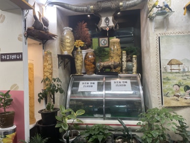종가집 사진 8