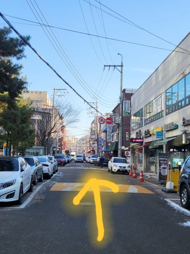 국가대표청과 이미지