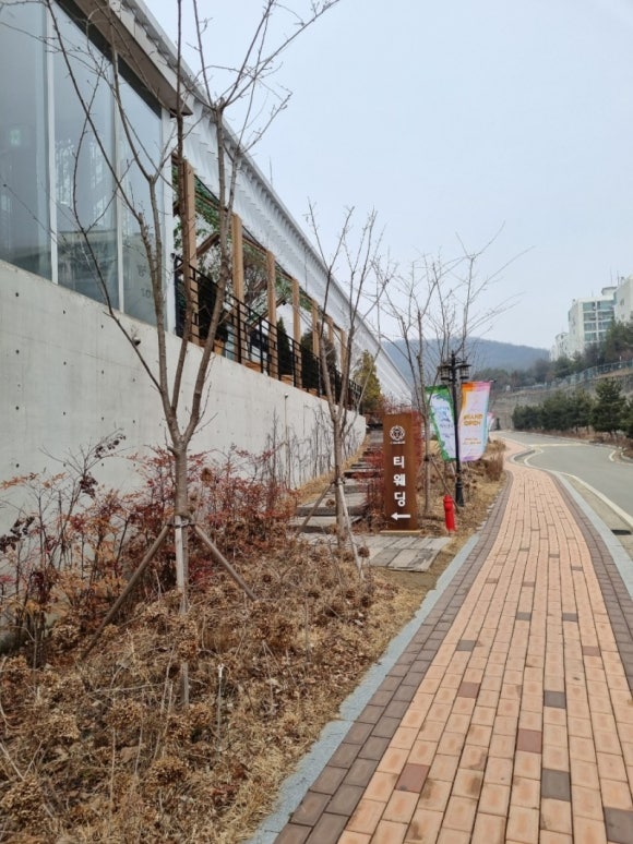 티지인투어 이미지