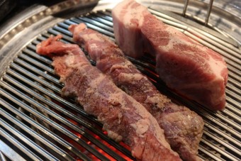 돼지통 이미지