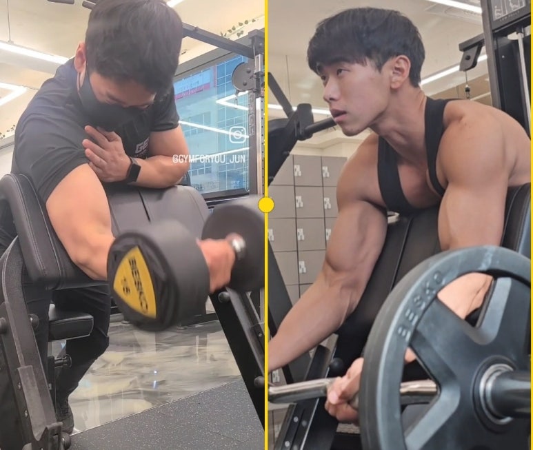 짐포유 이미지