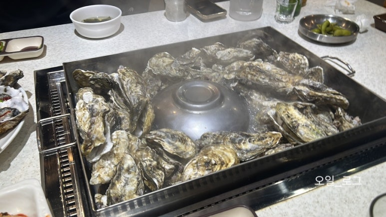 굴바다 이미지