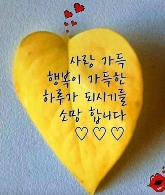 행복파출 이미지