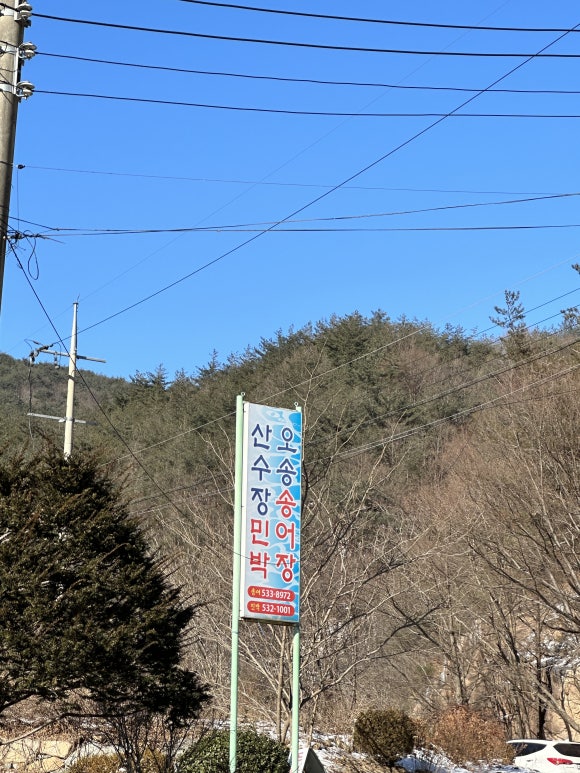 오송송어장 이미지