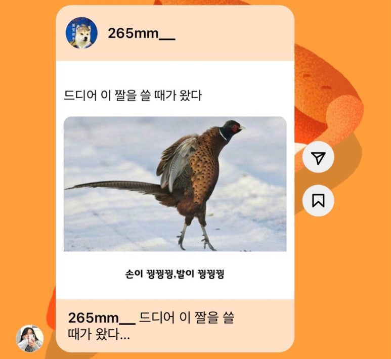 코탈리아 이미지