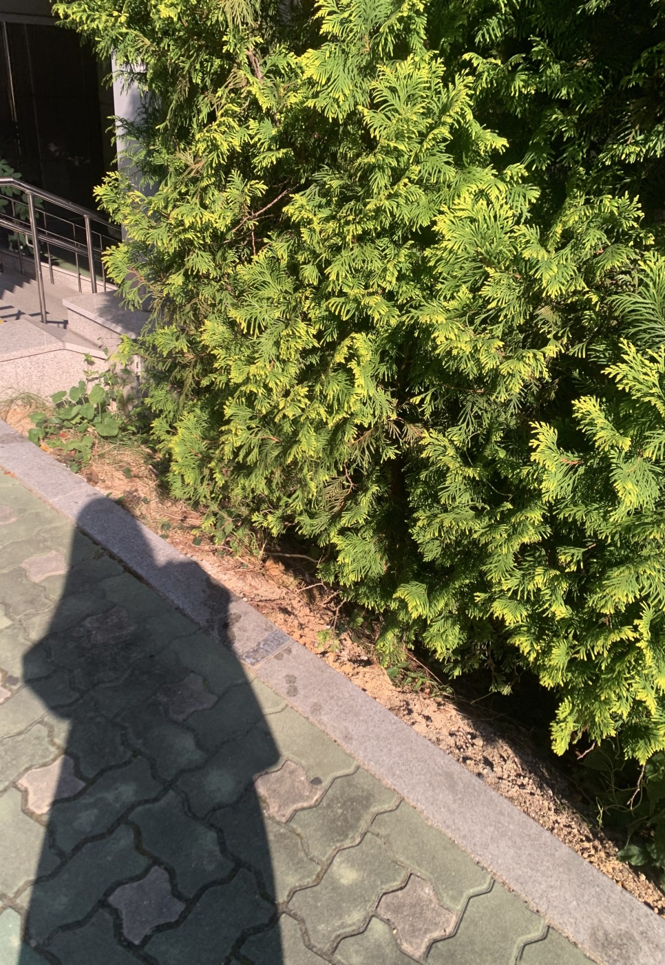 술먹는바보들 이미지