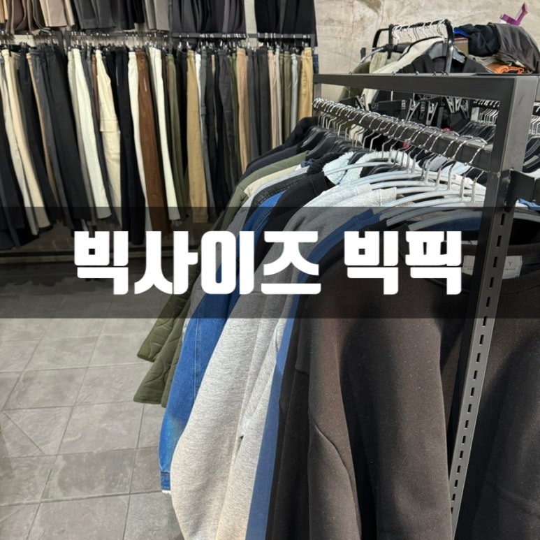 빅픽 이미지