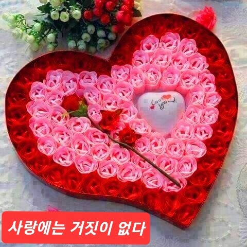 행복파출 이미지