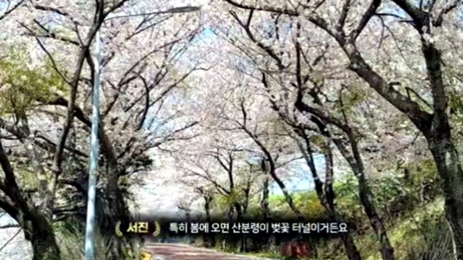 신도건어물 이미지