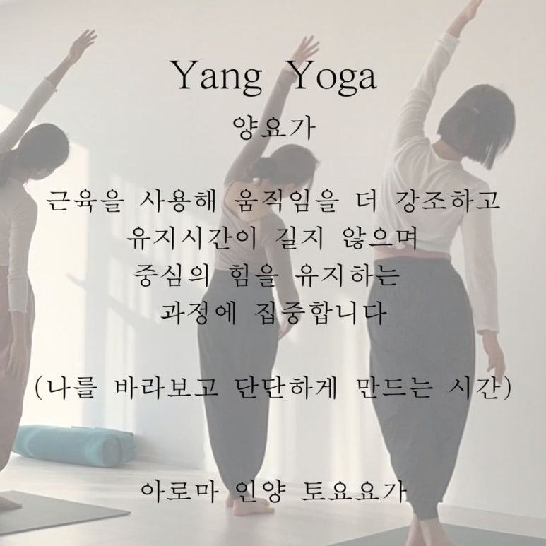 토요요 이미지