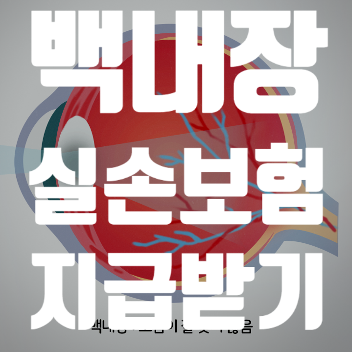 법률사무소정문 이미지