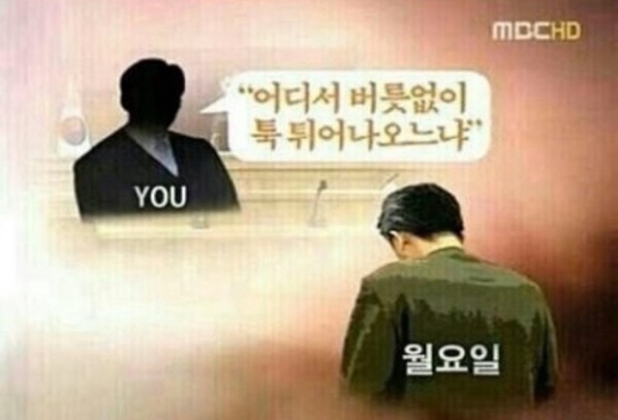 비스트로메종 이미지