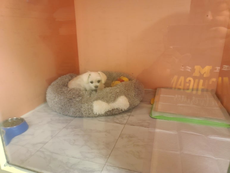굿모닝토토 이미지
