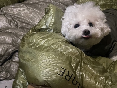 구시포노을캠핑장 이미지