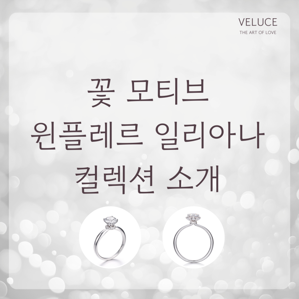 윈플레르 이미지