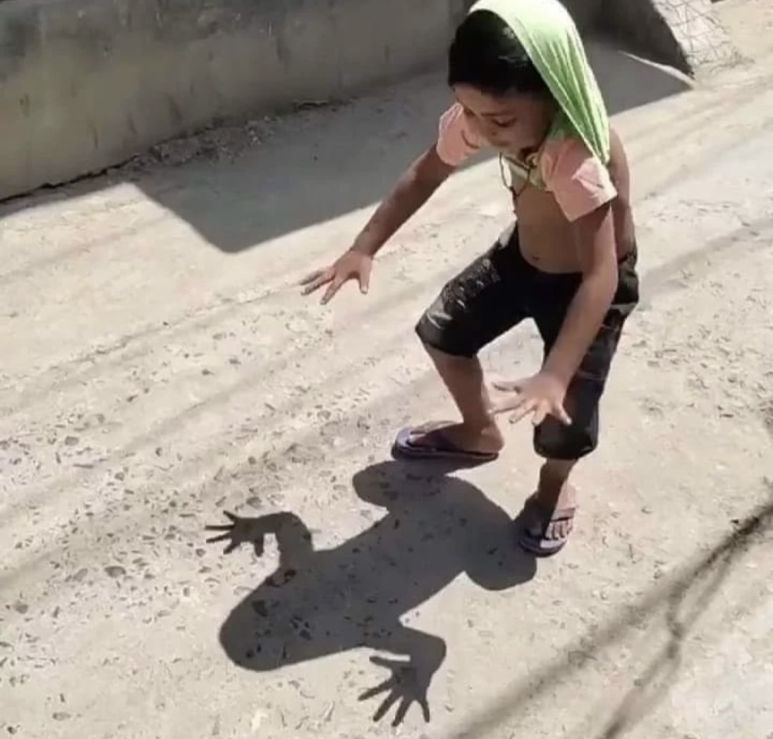 마이폰 이미지