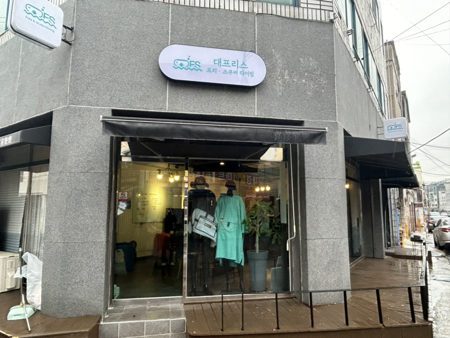 대프리스 이미지