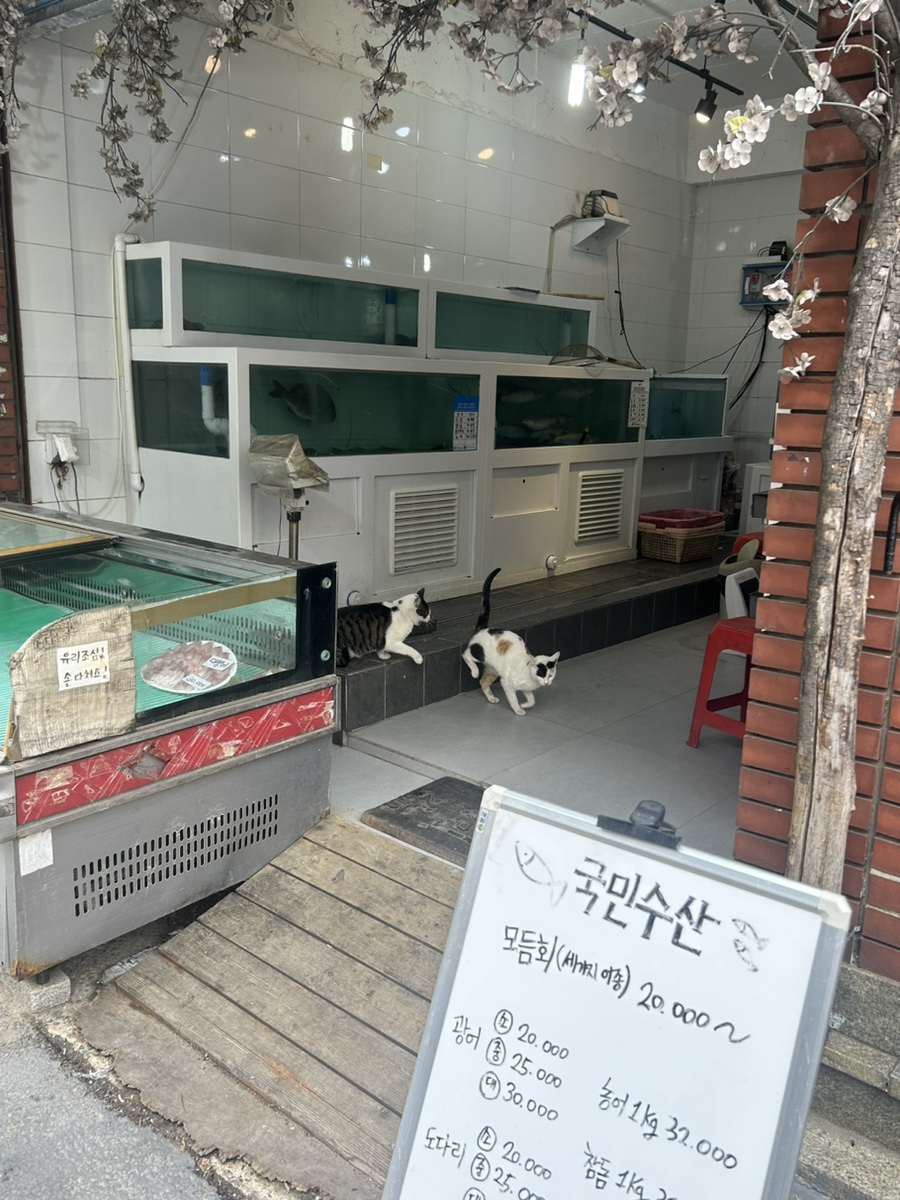 네일도츄 이미지