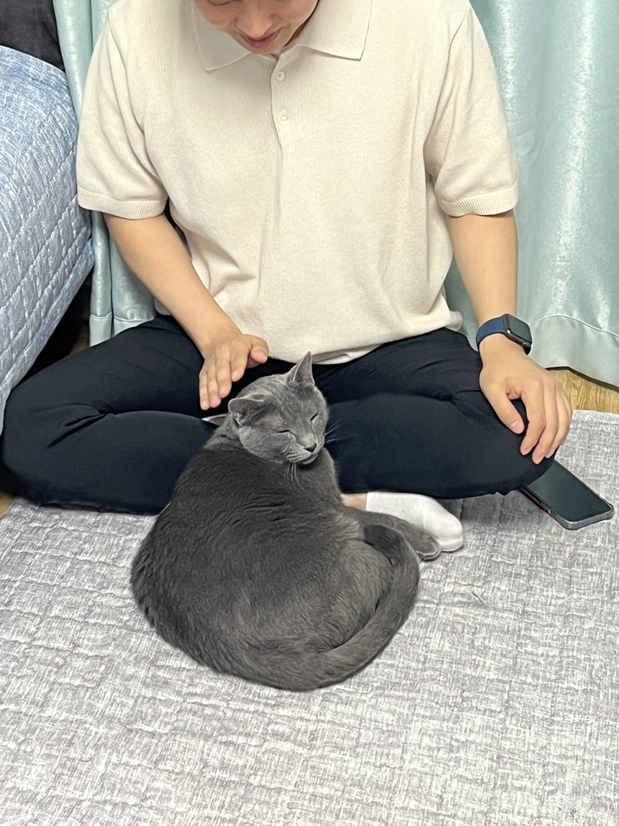 두야모야 이미지