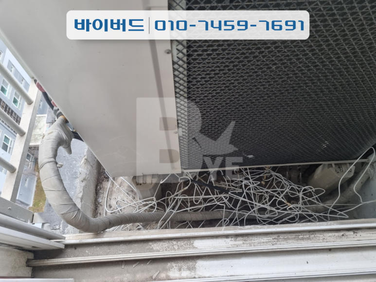 비둘기세탁소 이미지