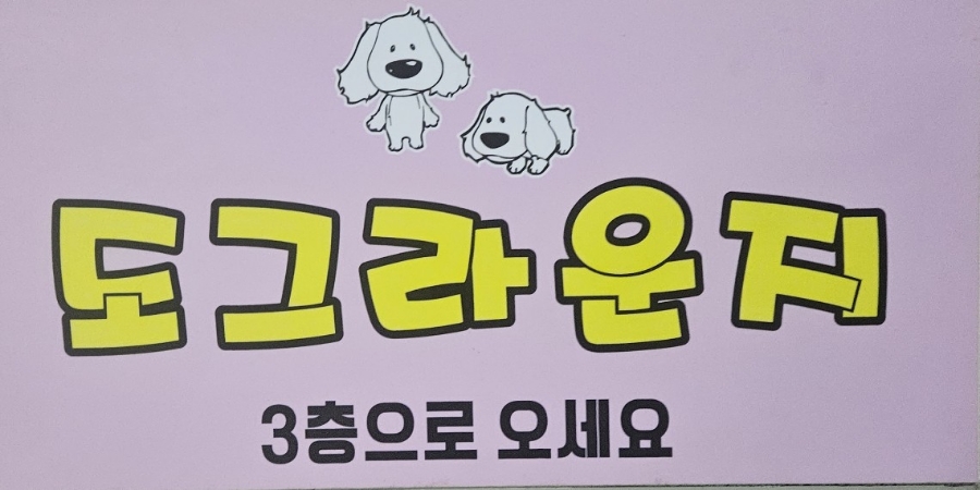 별내 애견카페 도그라운지: 합리적 가격의 실내외 놀이터 — 사진 3