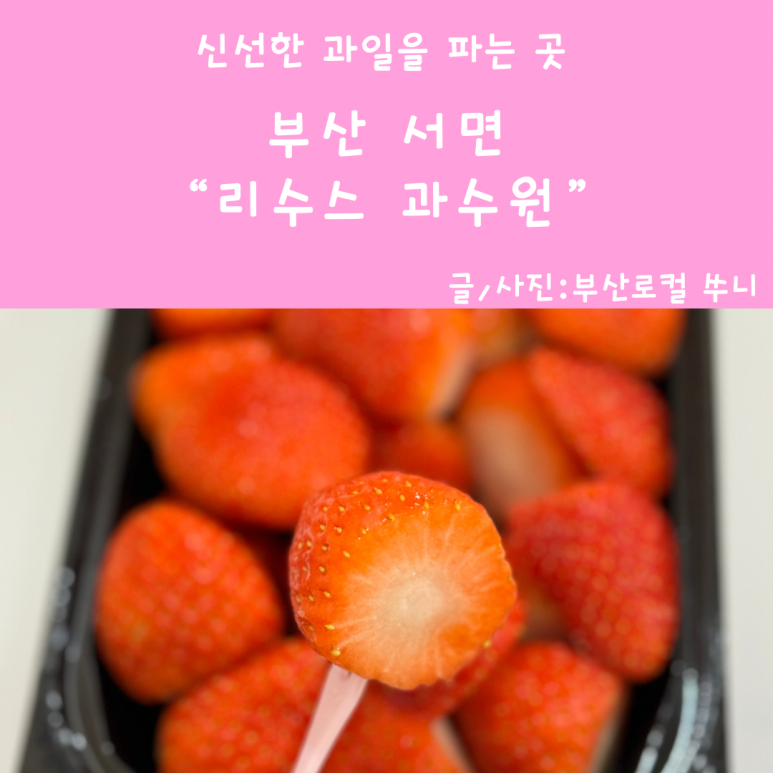 리수스과수원 이미지