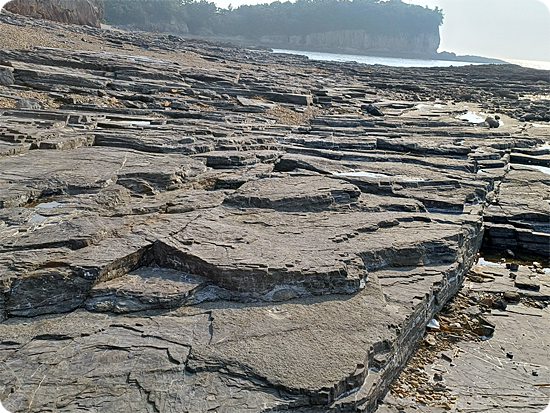 충청식당 이미지