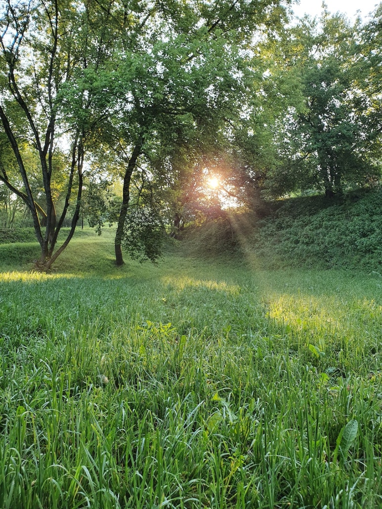 필마트 이미지