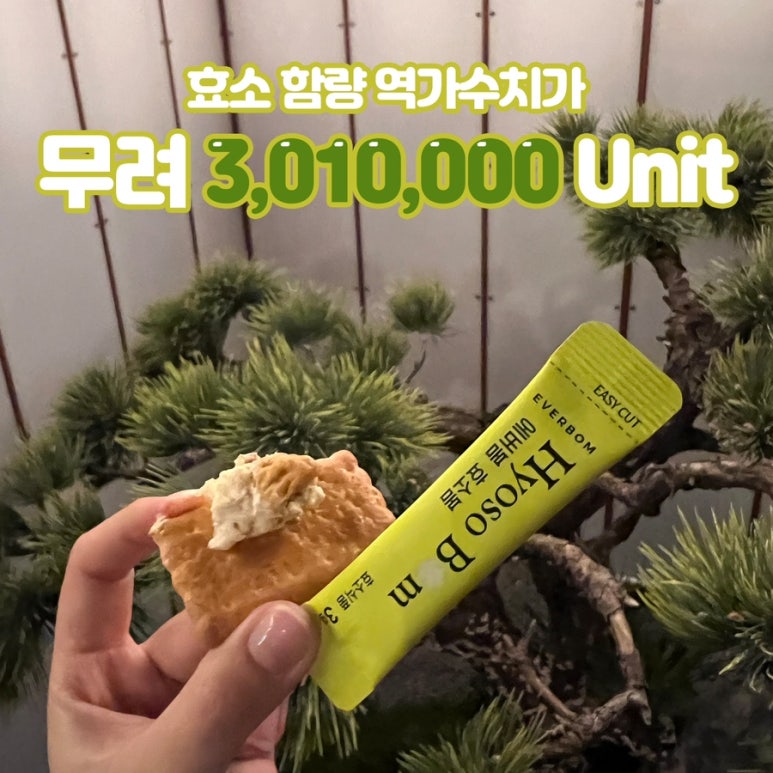 효소다이어트샵 이미지