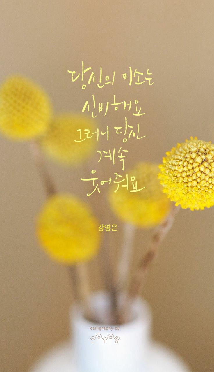 연꽃국수 이미지