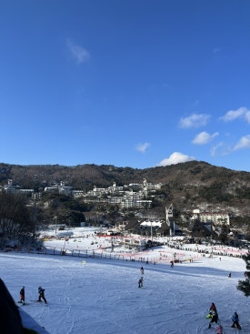 피자스톰무주리조트점 이미지