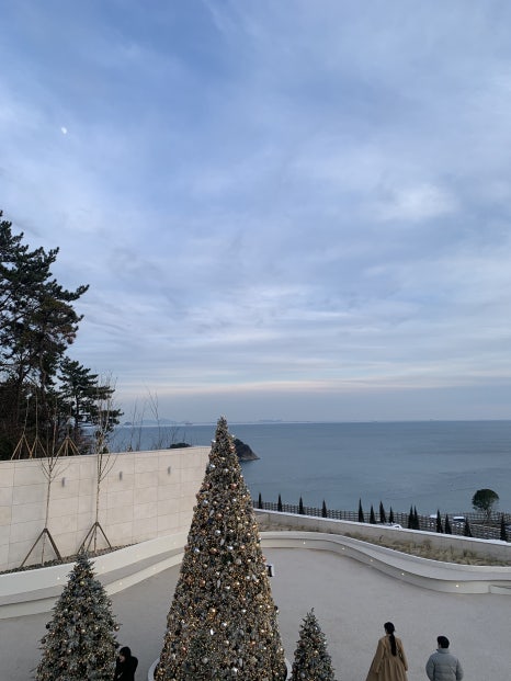 모이핀스카이 이미지