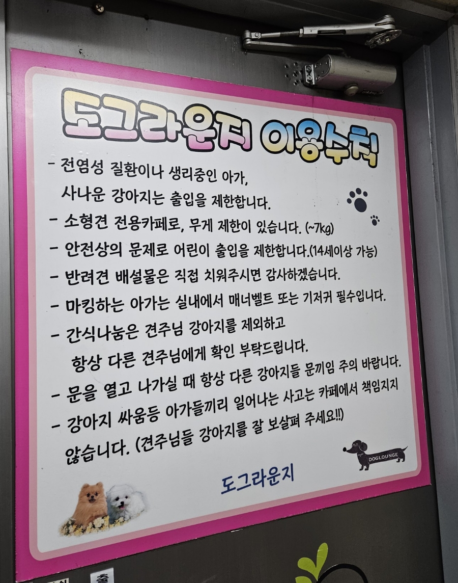 별내 애견카페 도그라운지: 합리적 가격의 실내외 놀이터 — 사진 4