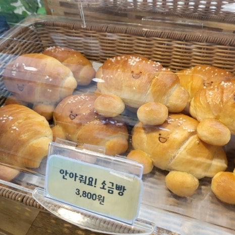 쿠키캐슬속초 이미지
