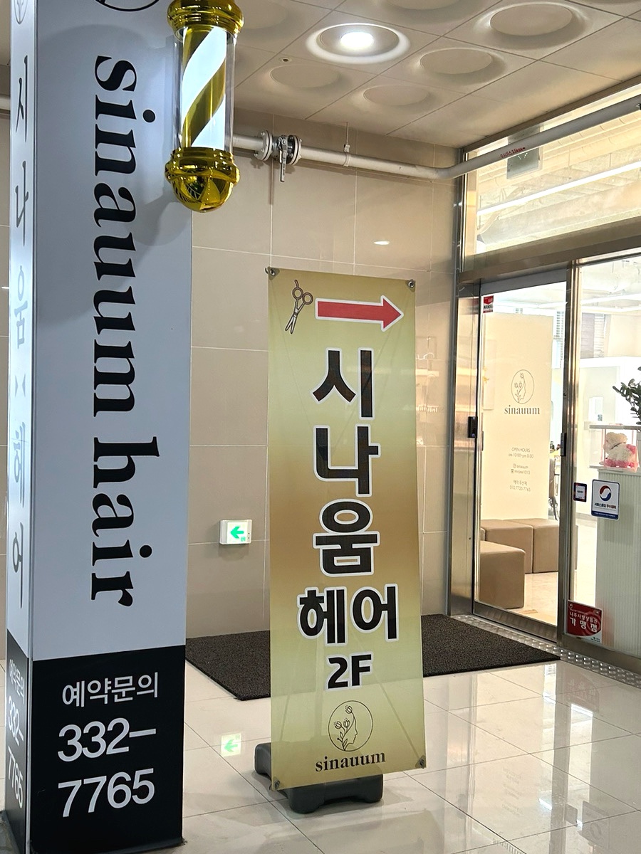 시나움 이미지
