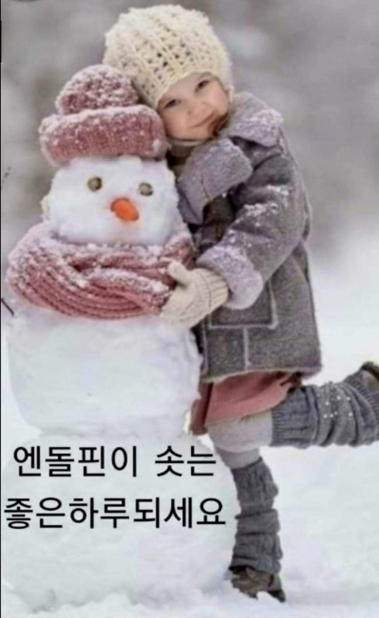 트라토리아 이미지