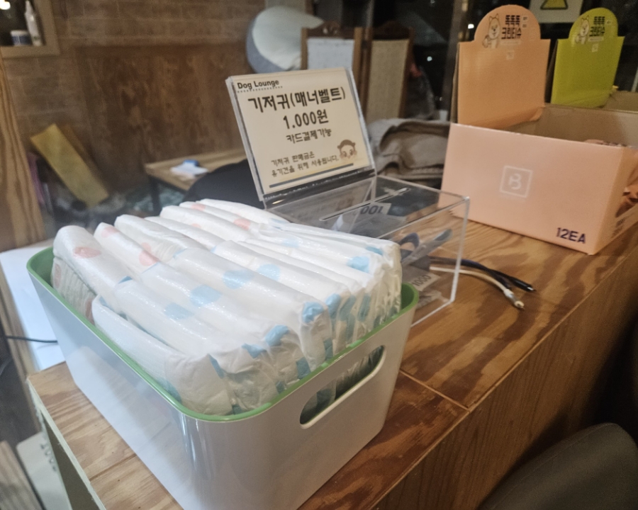 별내 애견카페 도그라운지: 합리적 가격의 실내외 놀이터 — 사진 7