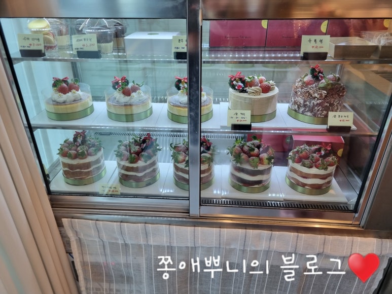 (언제나)봄 베이커리 이미지