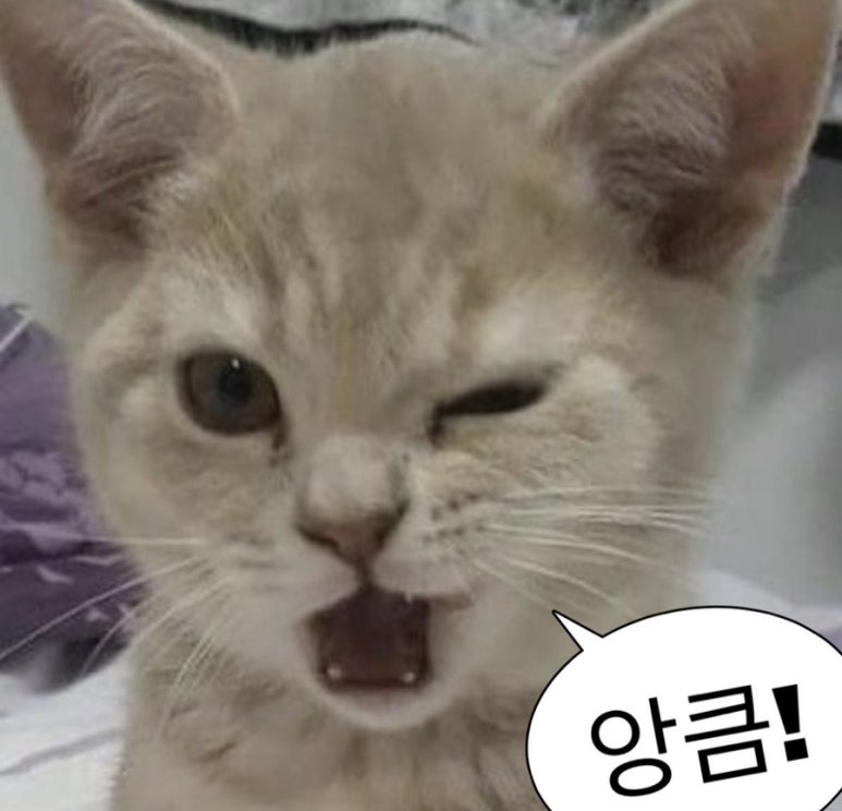 모여봐요 고양이카페 이미지