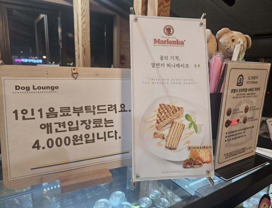 별내 애견카페 도그라운지: 합리적 가격의 실내외 놀이터 — 사진 10