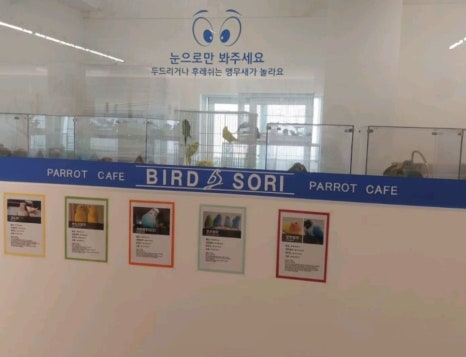 버드소리 영도점 이미지