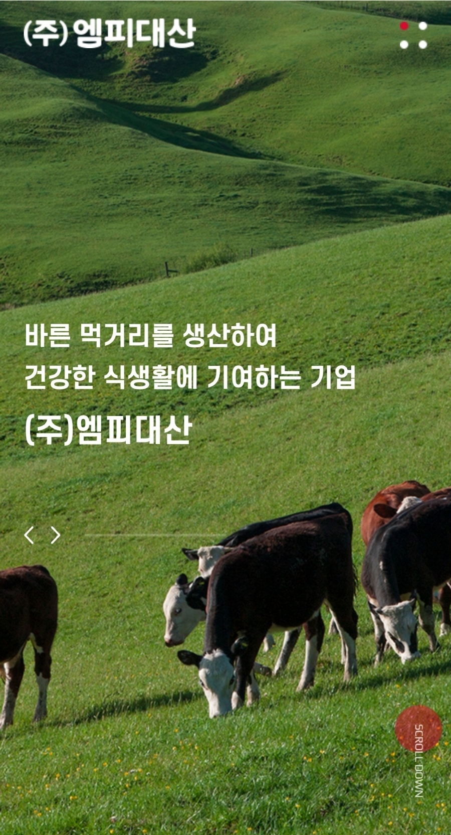 주식회사 대산에프앤비 이미지