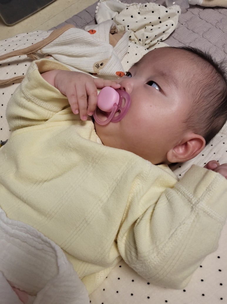 다오니김밥 이미지