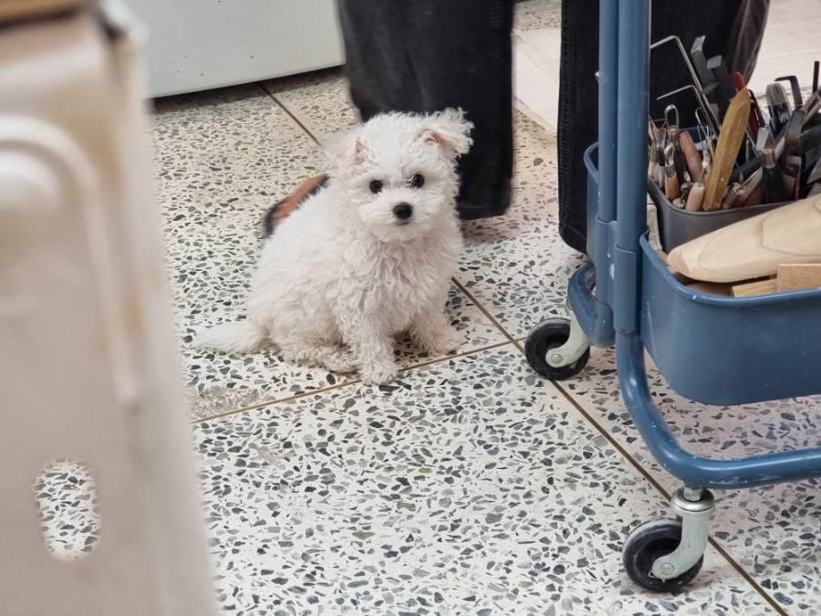 수수공방 이미지