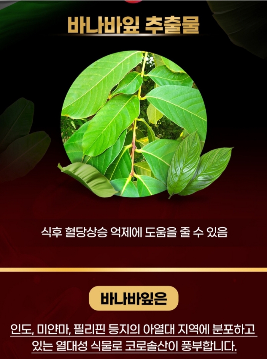 블루션 이미지