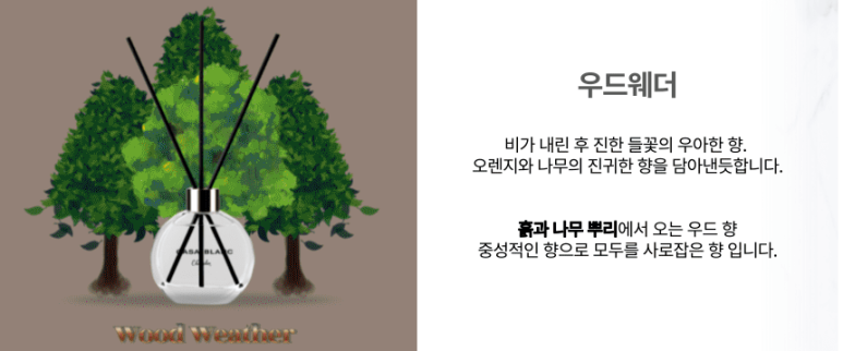 까사블랑 이미지