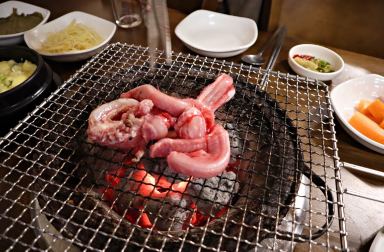 유정장어 이미지