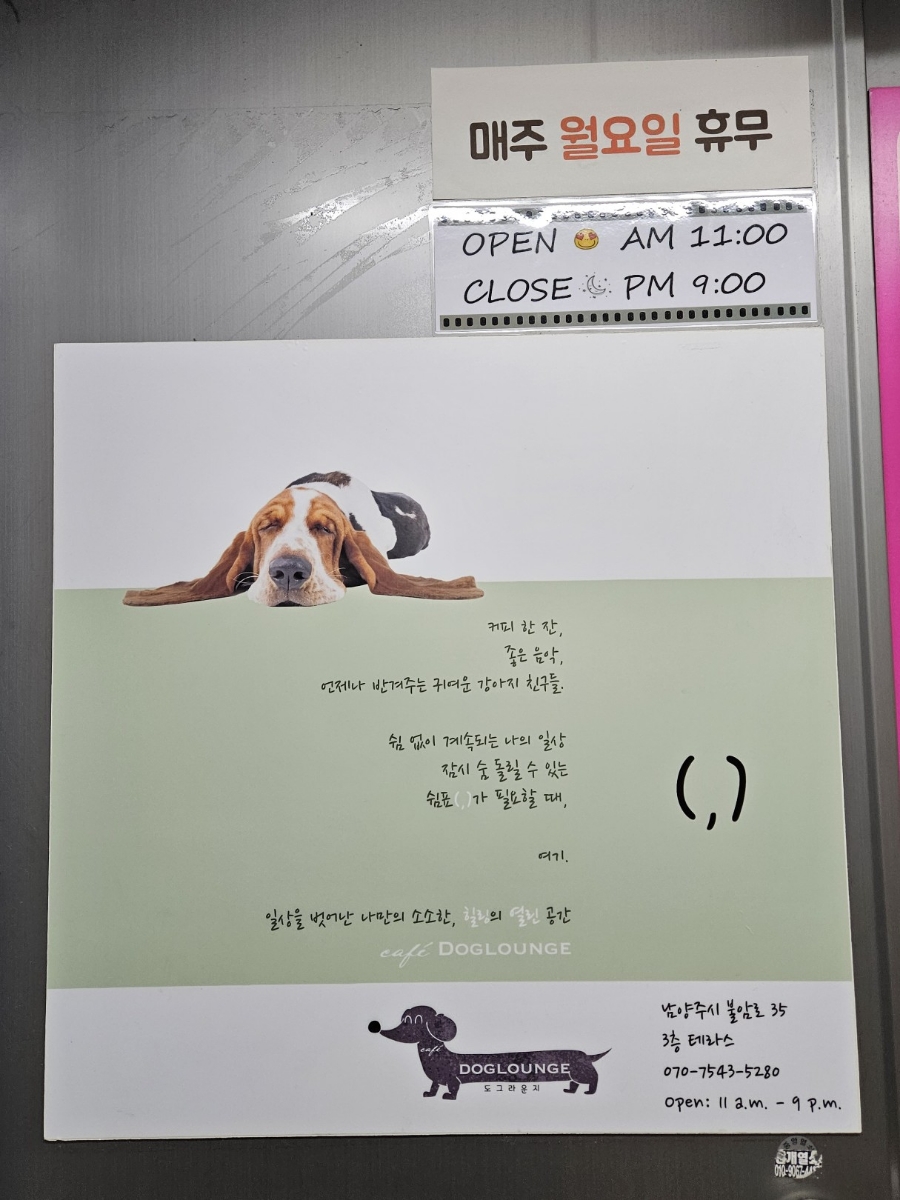 별내 애견카페 도그라운지: 합리적 가격의 실내외 놀이터 — 사진 5