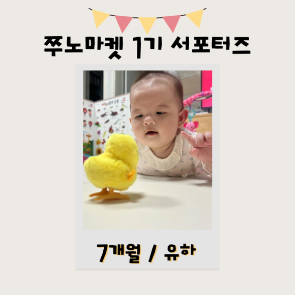 쭈노마켓 이미지