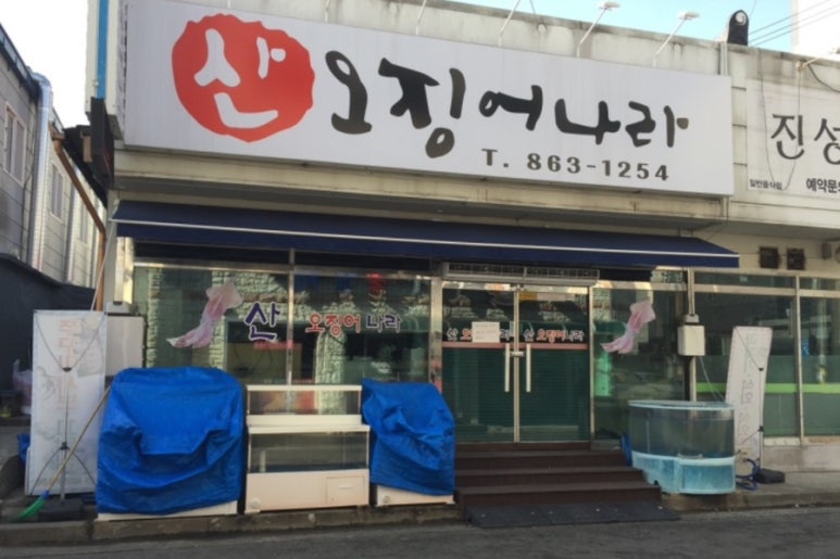 산오징어나라 이미지